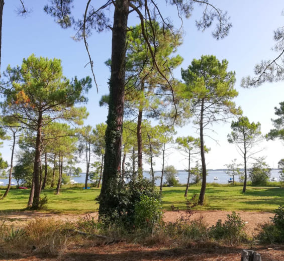 Randonnées à Lacanau