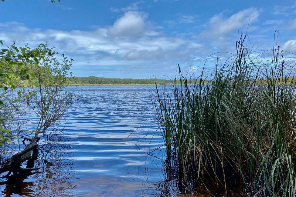 Printemps à Lacanau